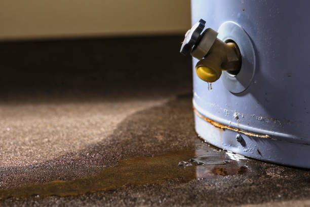 Best Professional water damage repair  in Cooperstown, NY