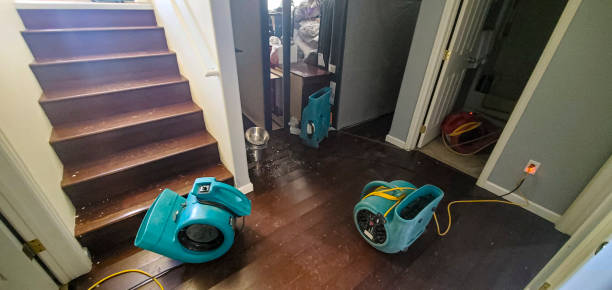 Best Water damage restoration process  in Cooperstown, NY