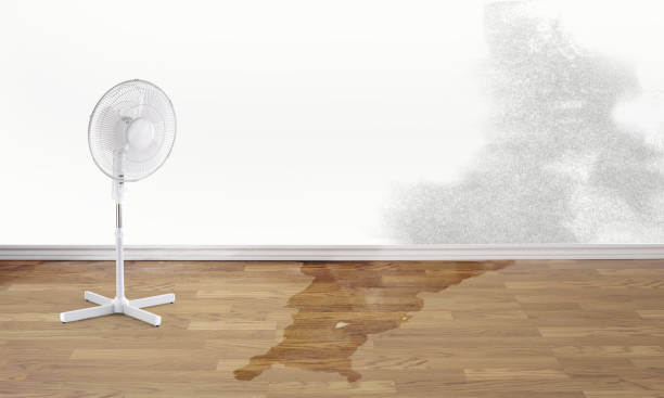 Best Emergency water damage restoration  in Cooperstown, NY