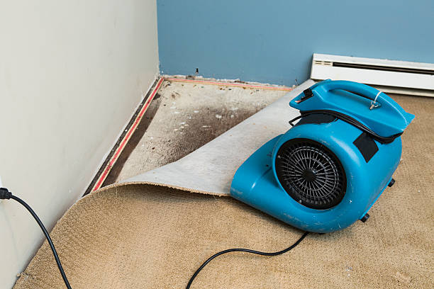 Best 24-hour water damage restoration  in Cooperstown, NY